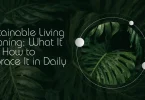 Sustainable Living Meaning: What It Is & How to Embrace It in Daily Life