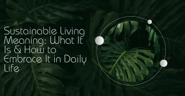 Sustainable Living Meaning: What It Is & How to Embrace It in Daily Life