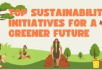 Top Sustainability Initiatives for a Greener Future