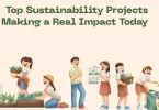 Top Sustainability Projects Making a Real Impact Today