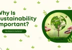 Why Is Sustainability Important Key Reasons Explained